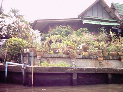 Дом у реки в Тайланде