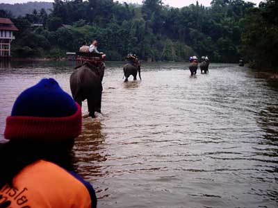 Путешествие на слонах